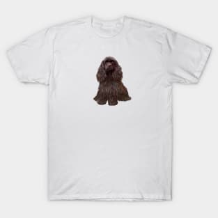 Chocolate Cocker Spaniel - just the dog T-Shirt